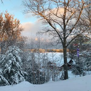 Meet your Posher, Vicky